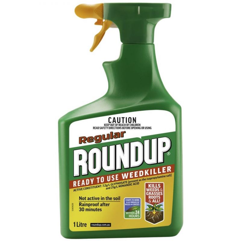 RoundUp Regular